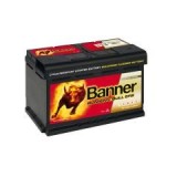 Banner Buffalo Bull 12V 150Ah / EFB 650 17 | für extremste Anforderungen