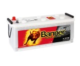 Banner Buffalo Bull 12V 120Ah / HD 620 34