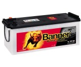 Banner Buffalo Bull 12V 150Ah / HD 650 11