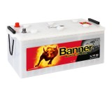 Banner Buffalo Bull 12V 225Ah / HD 725 11
