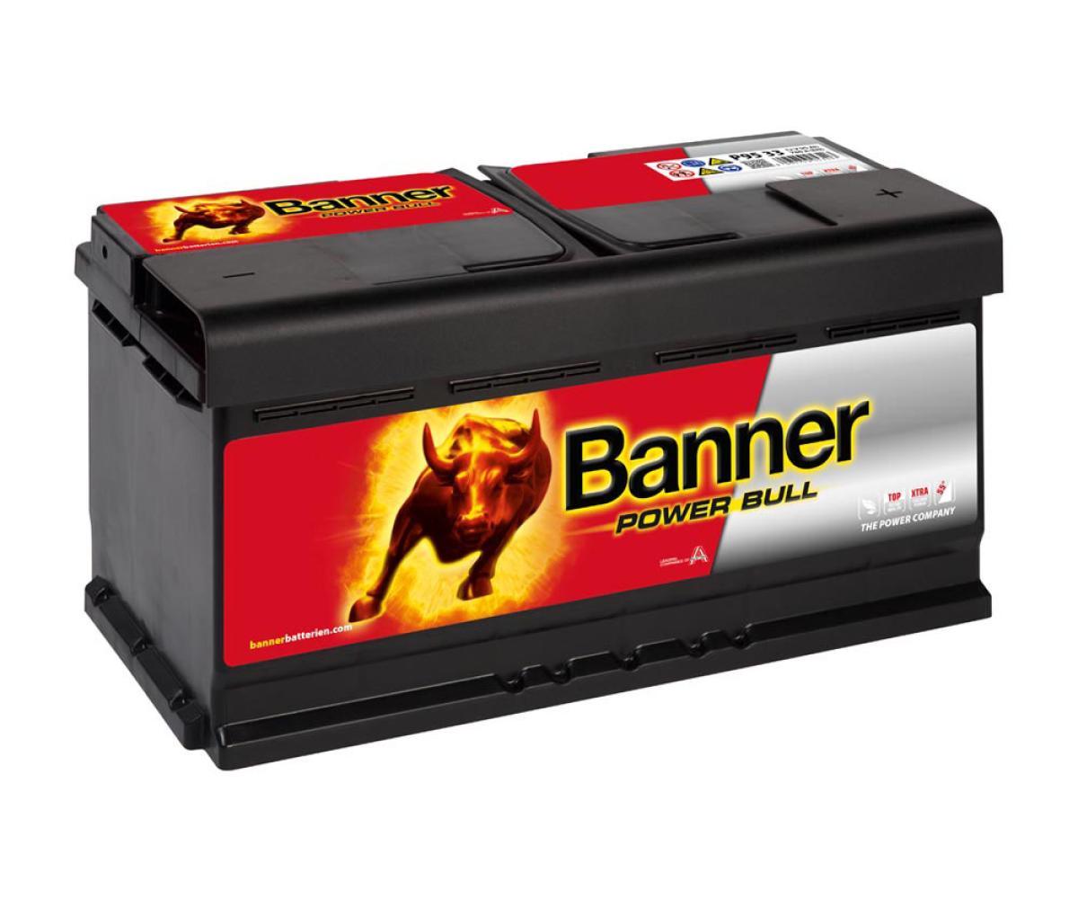 Banner Power Bull 12V 95Ah / P95 33